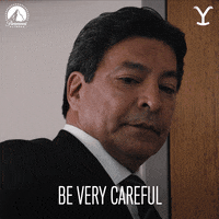 Look Out Paramount Network GIF by Yellowstone