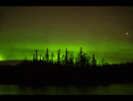 Stars GIF