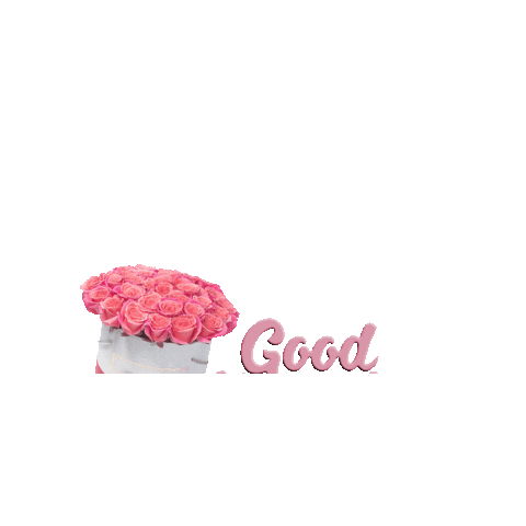 Good Morning Flowers Sticker by Blooming Box