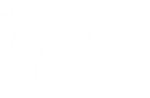 Latina Chingona Sticker by Luz Collective