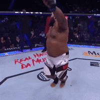 Beast Boy Dancing GIF by UFC