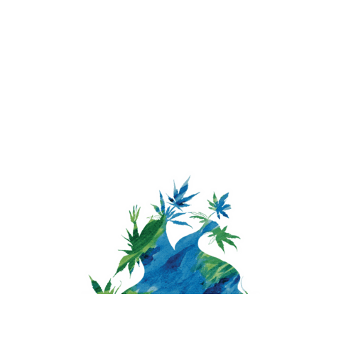 Cbd Seattle Sticker by Heylo