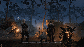 Camp Campfire GIF by Larian Studios