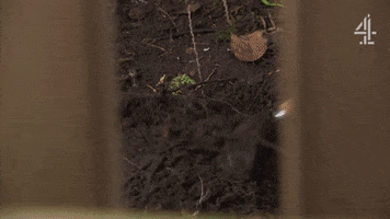 Murder Digging GIF by Hollyoaks