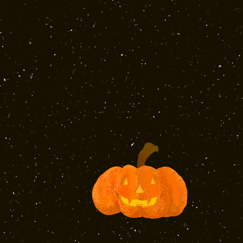 Jack O Lantern Pumpkin GIF by adobetrisha