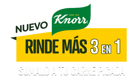 Knorr Sustainability Partnership Logo | Knorr