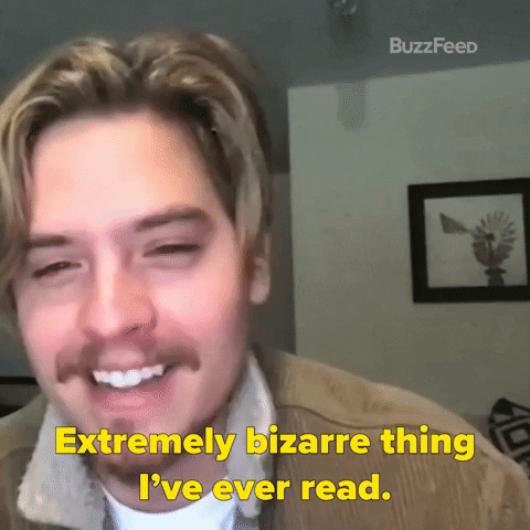 Dylan Sprouse GIF by BuzzFeed