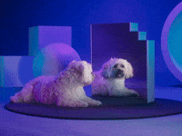 Pulled By My Problems?