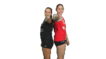 TB/ASV Regenstauf Sticker