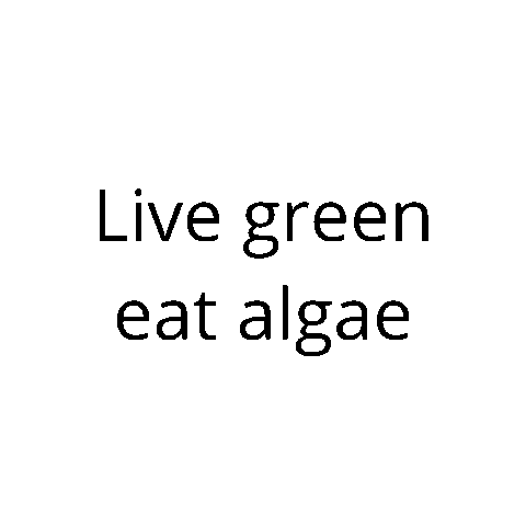 Jongerius ecoduna Sticker