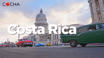 cochaviajes GIF