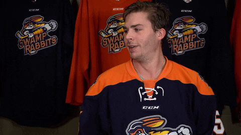 This is the Greenville Swamp Rabbits jersey that they will be