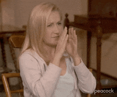 Please Stop Season 9 GIF by The Office