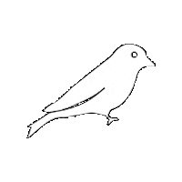 Birdcreek Roofing Sticker