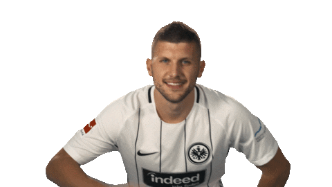 looking eintracht frankfurt Sticker by Bundesliga