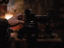 Goodbye Horses GIF
