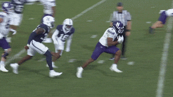 The Beast Touchdown GIF by Northwestern Athletics