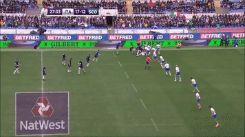 Polledri GIF