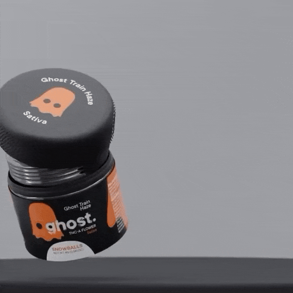 Ghost GIF