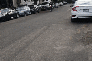 Official Ocean Beach GIF