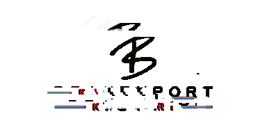 Beautyport Sticker by Bouquet Beauty Lab