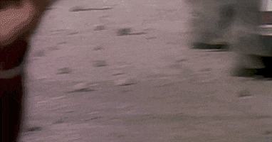 Canadian Cars GIF by CanFilmDay