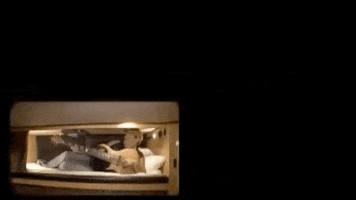 Luke Bryan GIF