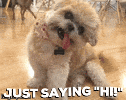 GIF