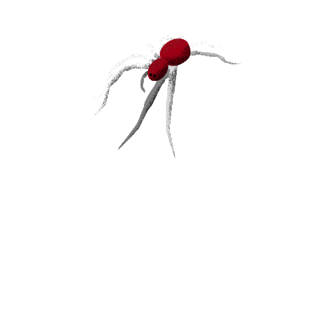 Porsche Customer Racing Sticker