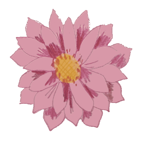 Pink Sticker
