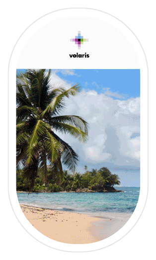 Travel Fly GIF by Volaris