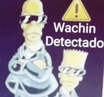 Homer Simpson Argentina GIF