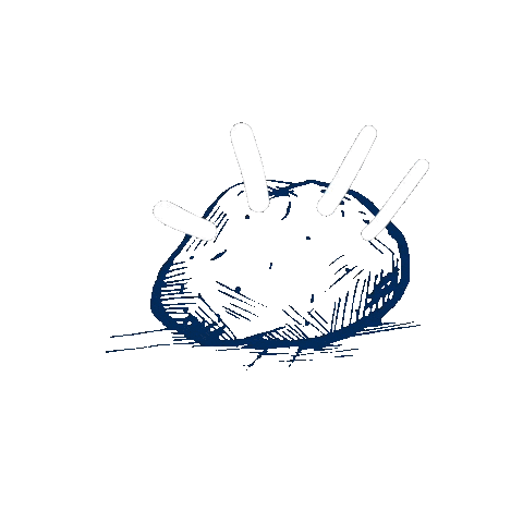 norderd Sticker
