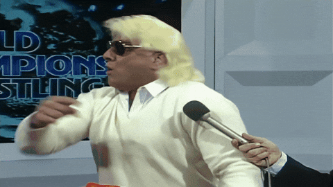 Ric Flair Woo GIFs - Find & Share on GIPHY