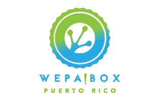 Logo Pr Sticker by WEPA!BOX