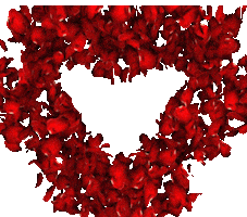 Tugba Yalcin Sticker by Tugba Korse Global