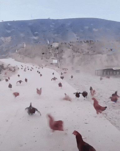 War Wow GIF by JustViral.Net - Find &amp; Share on GIPHY