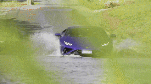 Purple-lamborghini GIFs - Get the best GIF on GIPHY