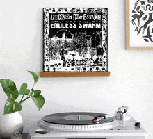 Hipster Vinyl GIF by To Live A Lie Records