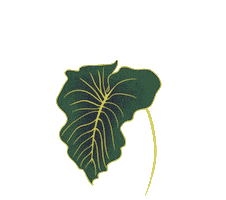 Byalis Sticker by andreaghirelli