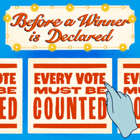 Voting Rights GIF by INTO ACTION