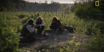 Episode 1 GIF by National Geographic Channel