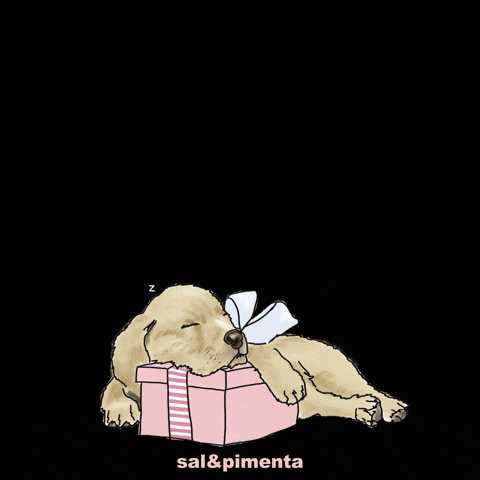 sal&pimenta GIF