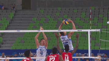 Game Action GIF by Volleyball World