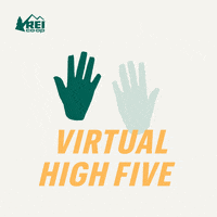 High Five Kudos Gif By Rei Find Share On Giphy