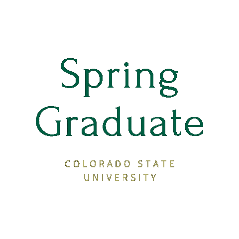 Colorado State Gold Sticker by Colorado State University Online