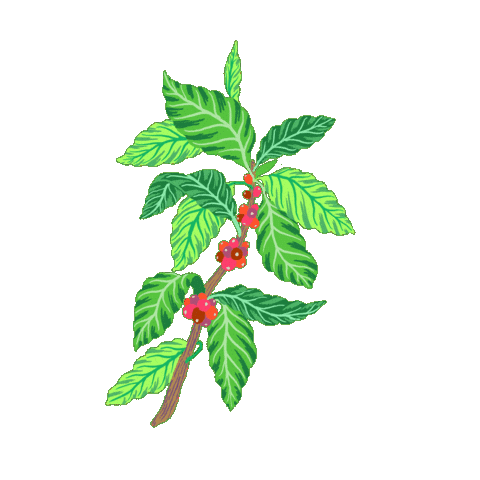 夏の隠れ家 Sticker by Starbucks Reserve Roastery Tokyo