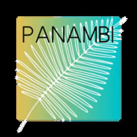 Panambi_collection panambi panambicollection panambistyle modapanambi GIF