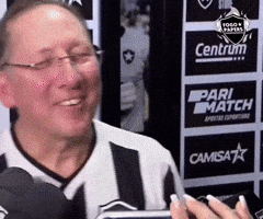 Botafogo De Futebol E Regatas Jt GIF