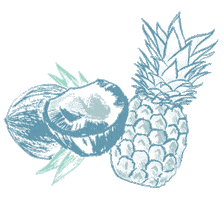 Pina Colada Pineapple Sticker by Bare and Free